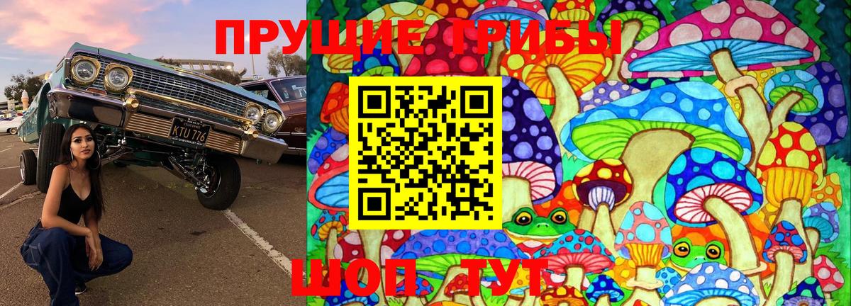 Псилоцибиновые грибы ЛСД Курчалой